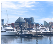 boats