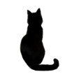 Silhouette of back of black cat