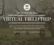Days End Virtual Field Trip