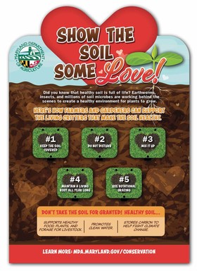 soil game