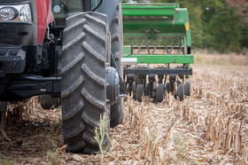 covercrop