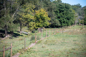 Buffer25-26-Remsberg