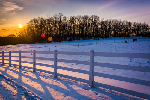shutterstock-carrollfarmwinter