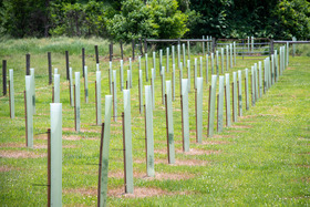 Remsberg-22060352352