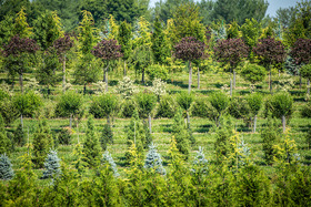 Remsberg_200629001673