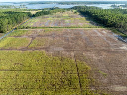 Remsberg-24080425688