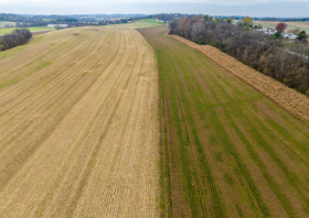 Remsberg-22111521469