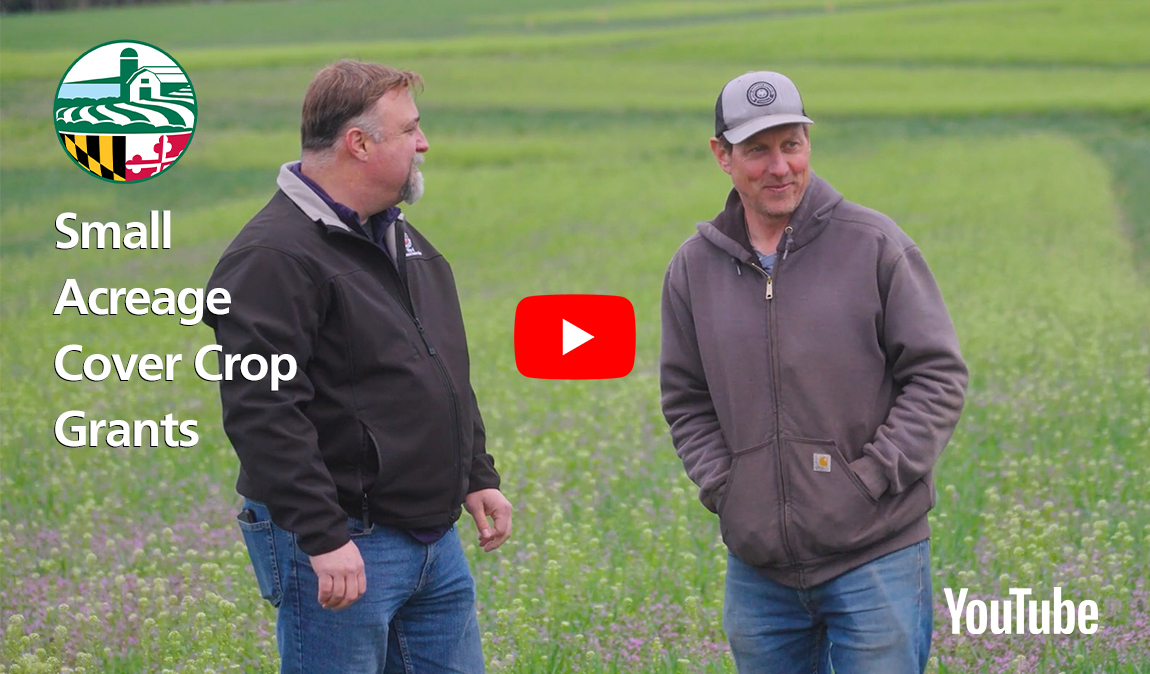Farmer and a Conservationist talking on a small farm surrounded by cover crop fields, image copyright Edwin Remsberg