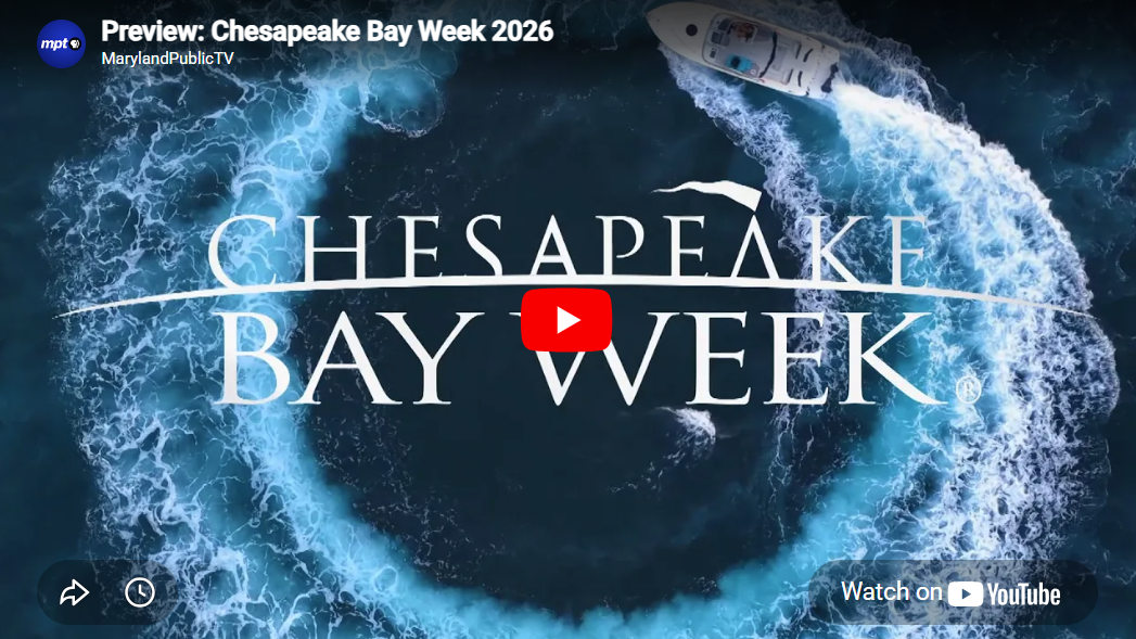2026 Chesapeake Bay YouTube Cover with Blue Water and a White Boat