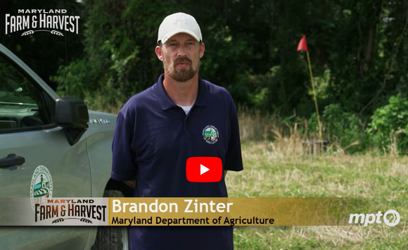 MDA soil conservation district employee Brandon Zinter in a farm field with the Maryland Farm & Harvest Logo and MPT logo