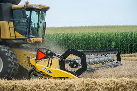 Yellow combine harvesting grain with a mature corn field in the background, copyright Edwin Remsberg