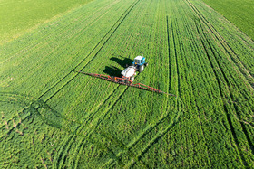 Mature green cover crop in a spring field with a blue tractor pulling farm equipment