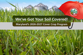 Field of cover crops with silos announcing Maryland's Cover Crop Program, image copyright Edwin Remsberg