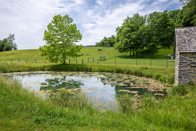 Small farm with a fenced pond, newly planted trees, horses, sheep and a stone building, copyright Edwin Remsberg