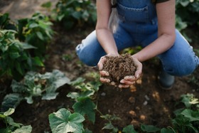 Women kneeling in field with hands full of healthy soil, Shutterstock image