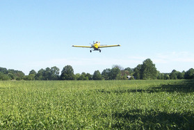 yellow plane seeding cover crops into standing crop