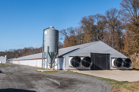 Poultry house next to woods