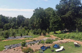 Farm featuring permaculture practices 