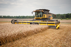 A yellow and black combine harvester is harvesting a  field of mature, golden-brown wheat under an overcast sky, copyright Edwin Remsberg.