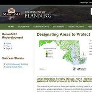 forest planning