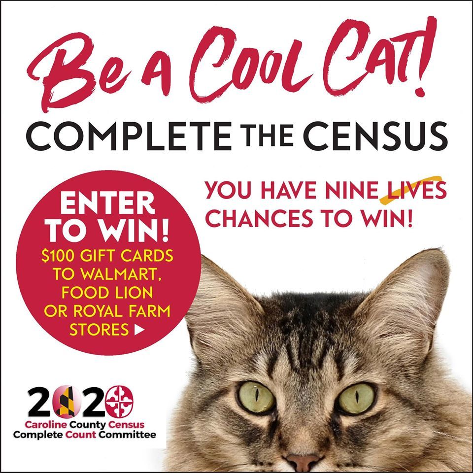 Check out Caroline County Census Complete Count Committee's Contest!! Be a Cool Cat!