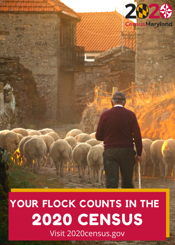 Share This: "Your Flock Counts in the Census"