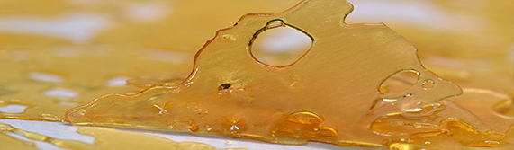 Feature story on cannabis concentrates such as shatter