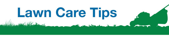 Lawn Care Tips