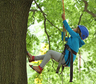 Kids Tree Climbing
