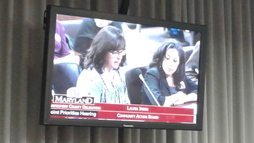 Joint Delegation Hearing