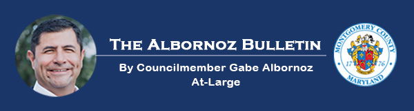 Albornoz_ENewsletter_Banner_Final March 2019