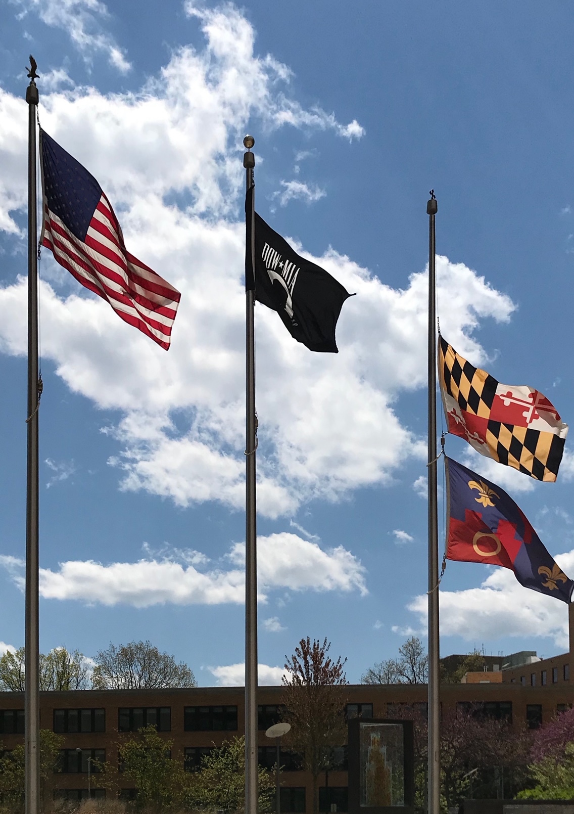 half staff County flags