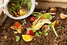 Food Composting
