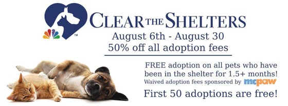 clear the shelters