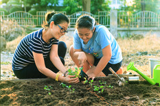 Kids planting a tree