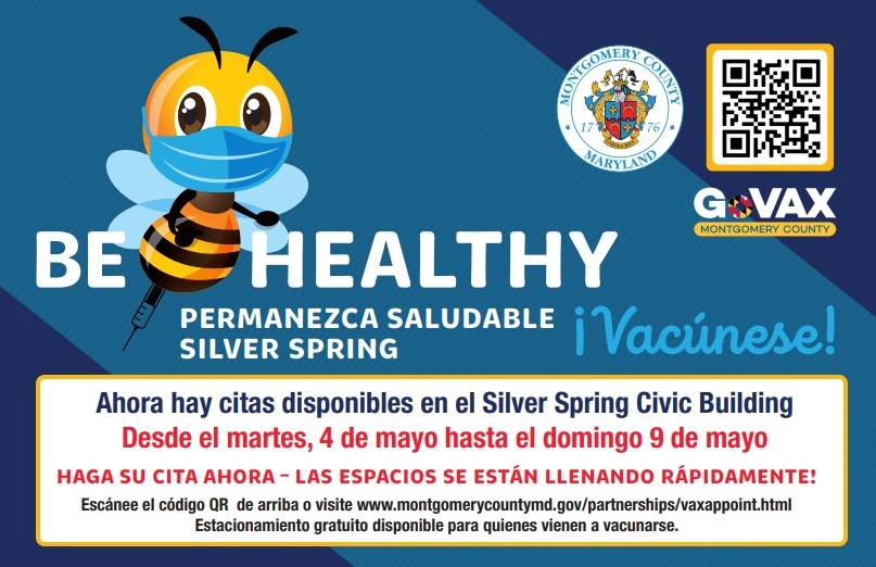 Bee Healthy DTSS Spanish 