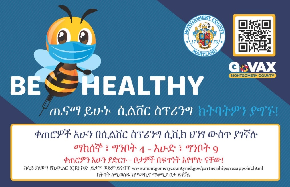 Bee Healthy DTSS Amharic