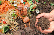 food compost pile