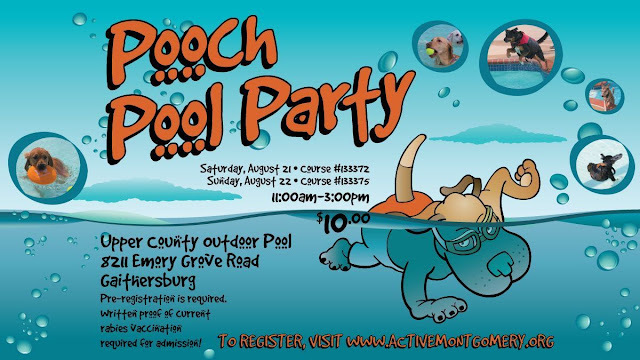 pooch pool party
