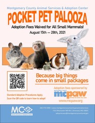 pocket pet palooza