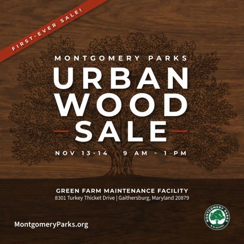 urban wood sale