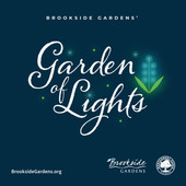 garden of lights