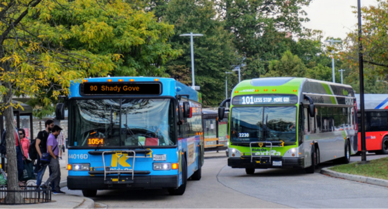picture of rideon buses