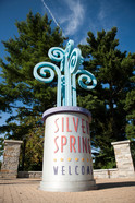 silver spring