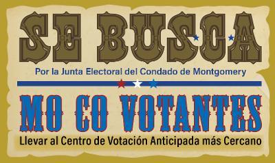 Vota-Flyer