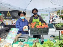 Two people working at a farmers market