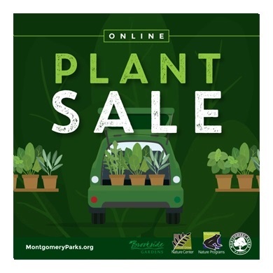 Plant Sale Image