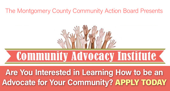 community advocacy institute
