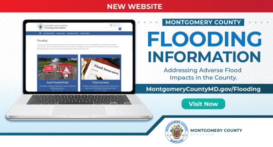flood website