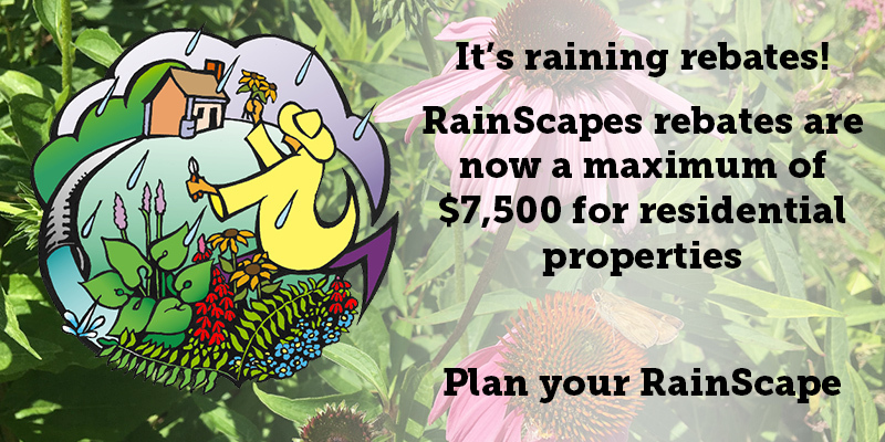 RainScapes Rewards Rebate Program Application Portal Reopens Wednesday, Feb. 1 